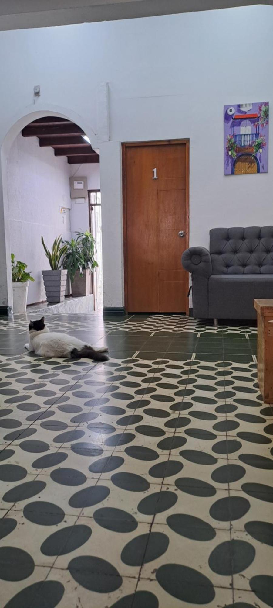 Hostal Casa Lara Cartagena Buitenkant foto